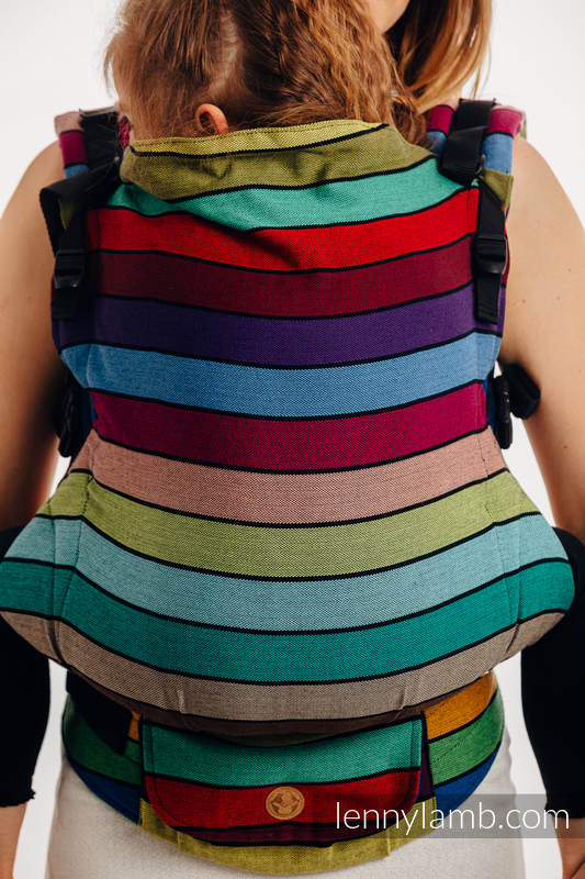 Lenny Lamb - LennyPreschool Carrier CAROUSEL OF COLORS