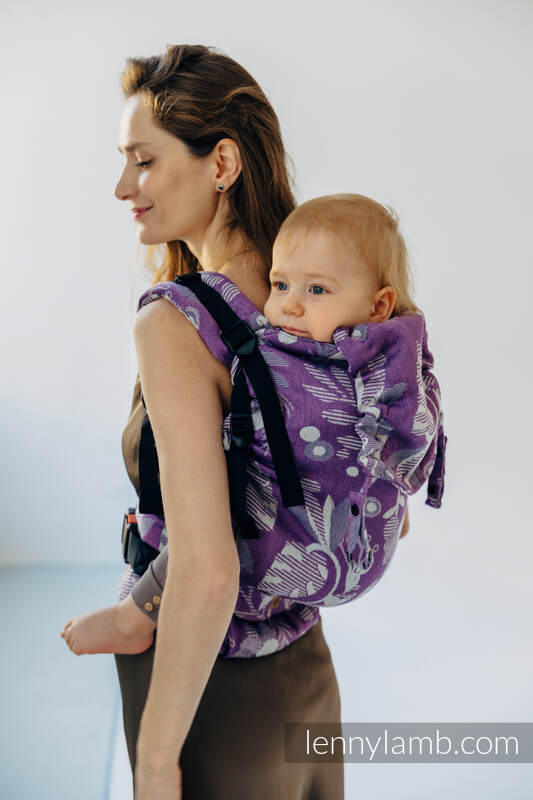 Lenny Lamb - LennyPreschool Carrier EXPERIMENT