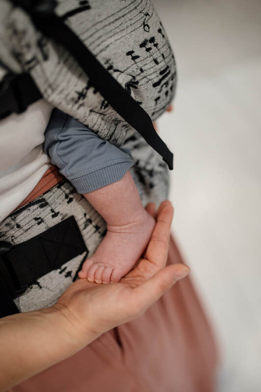 Lenny Lamb - LennyLight Carrier MELODY POLONAISE