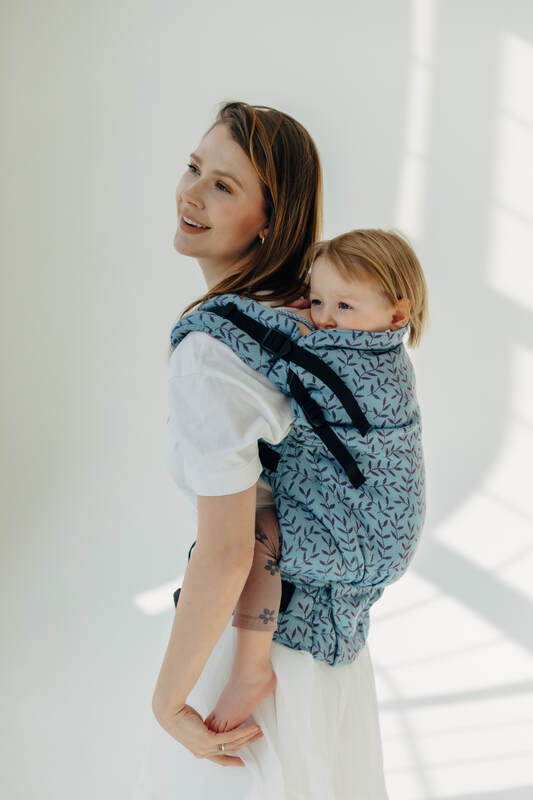 Lenny Lamb - LennyPreschool Carrier ENCHANTED NOOK FAIRY