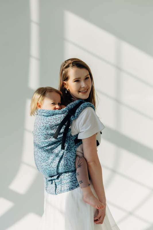Lenny Lamb - LennyPreschool Carrier ENCHANTED NOOK FAIRY