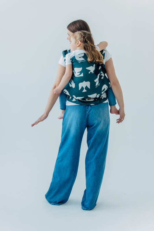 Lenny Lamb - LennyPreschool Carrier BIRDY SKYWARD