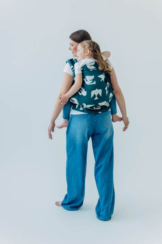 Lenny Lamb - LennyPreschool Carrier BIRDY SKYWARD