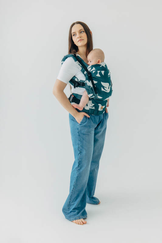 Lenny Lamb - LennyUpGrade PRO Carrier PRO BIRDY SKYWARD