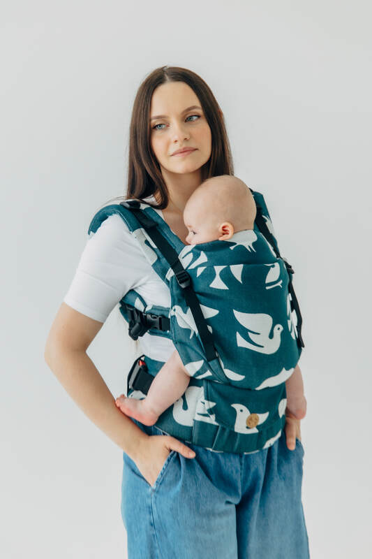 Lenny Lamb - LennyUpGrade PRO Carrier PRO BIRDY SKYWARD